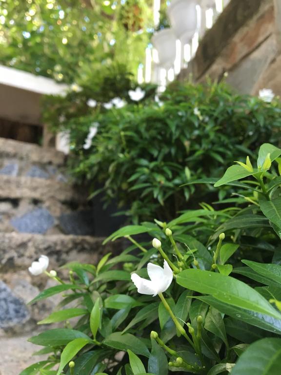 Des Ami Villa Vũng Tàu Exterior foto